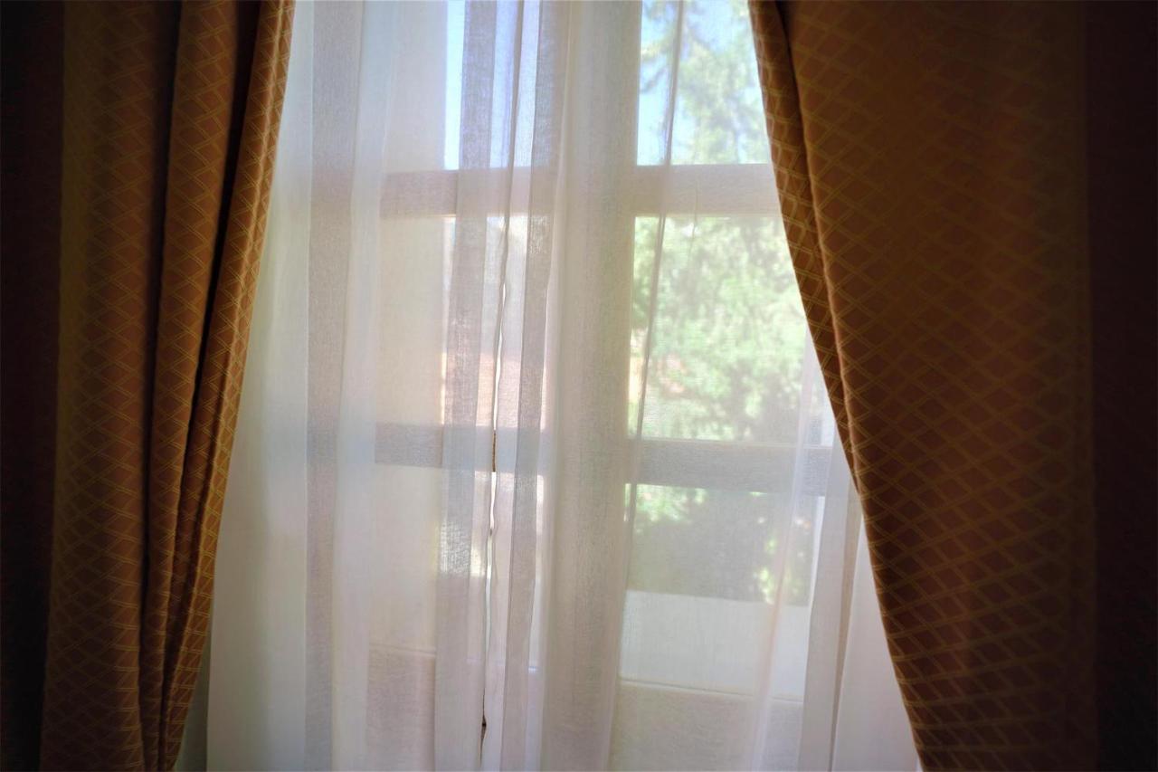 Sergei Palace מלון 4*